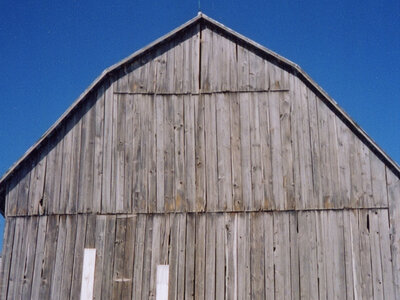 They shouldn't all be reclaimed for flooring