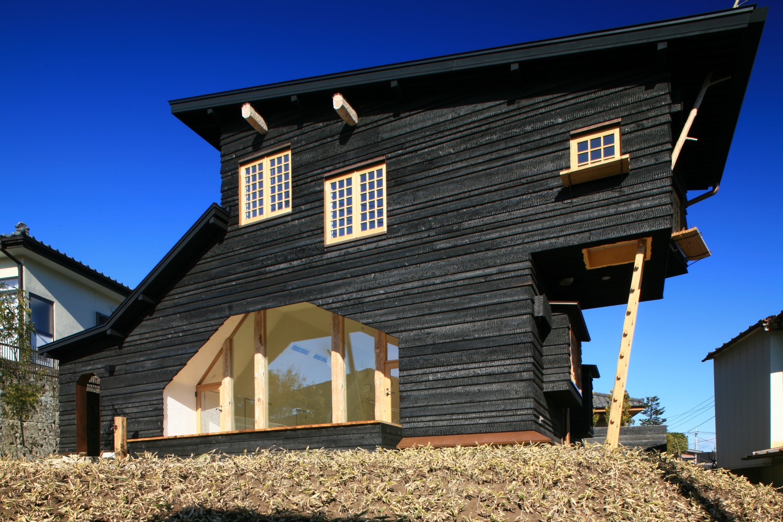 Shou Sugi Ban wood siding