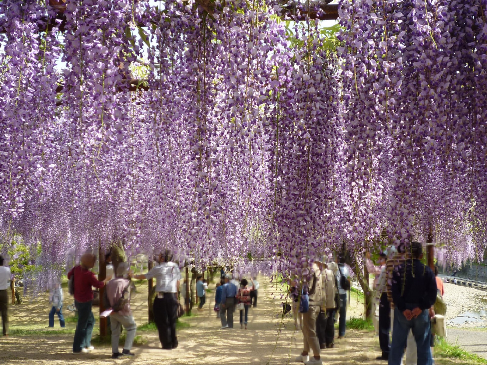 Unique trees